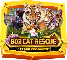 kubet เครดิต ฟรี 168 บาท, kubet เครดิตฟรี, kubet ไม่ต้องฝาก, kubet โปรโมชั่น, kubet เว็บตรง, kubet คาสิโน, kubet บาคาร่า, kubet สล็อต, kubet แจกเครดิตฟรี, kubet เล่นได้จริง, kubet ไม่ผ่านเอเย่นต์